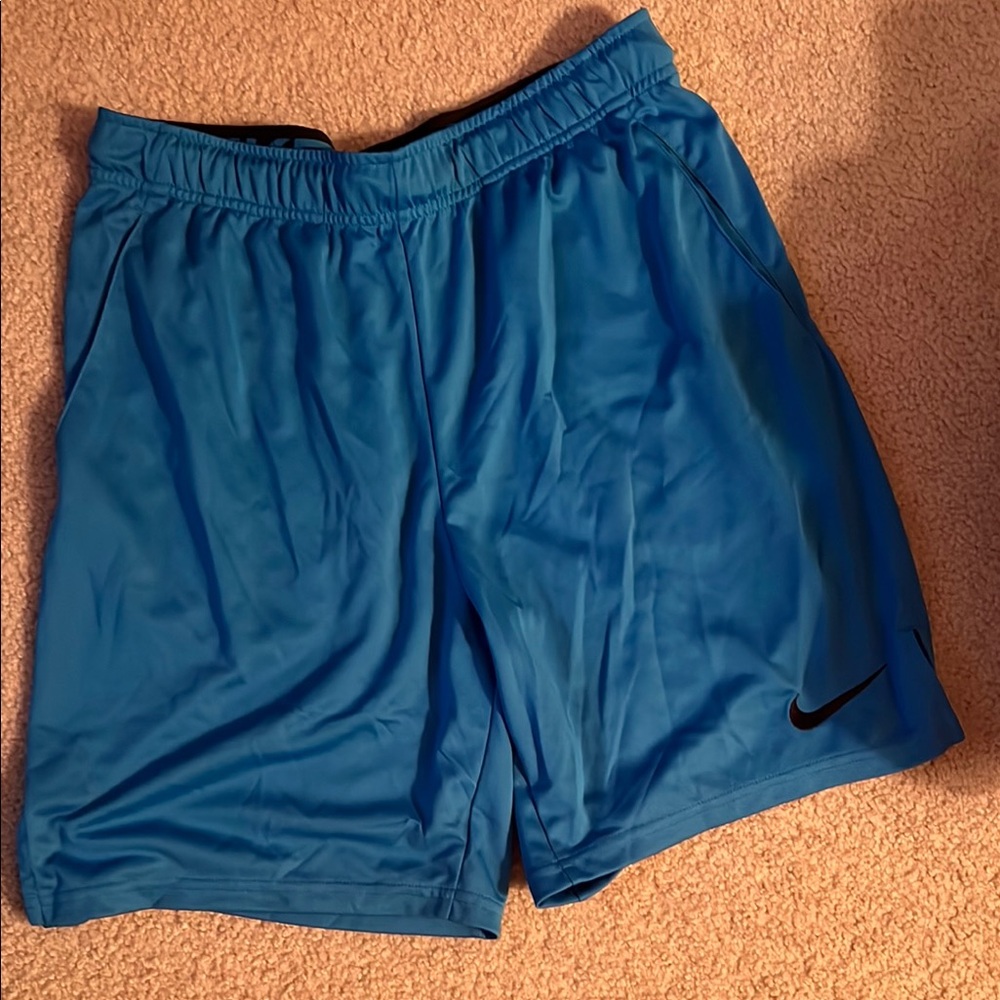 Nike Men's Blue Athletic Shorts
